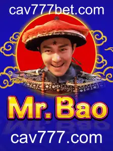 Descubra o Mundo Envolvente de MrBao: Um Guia Completo